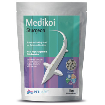 Medikoi - Sturgeon